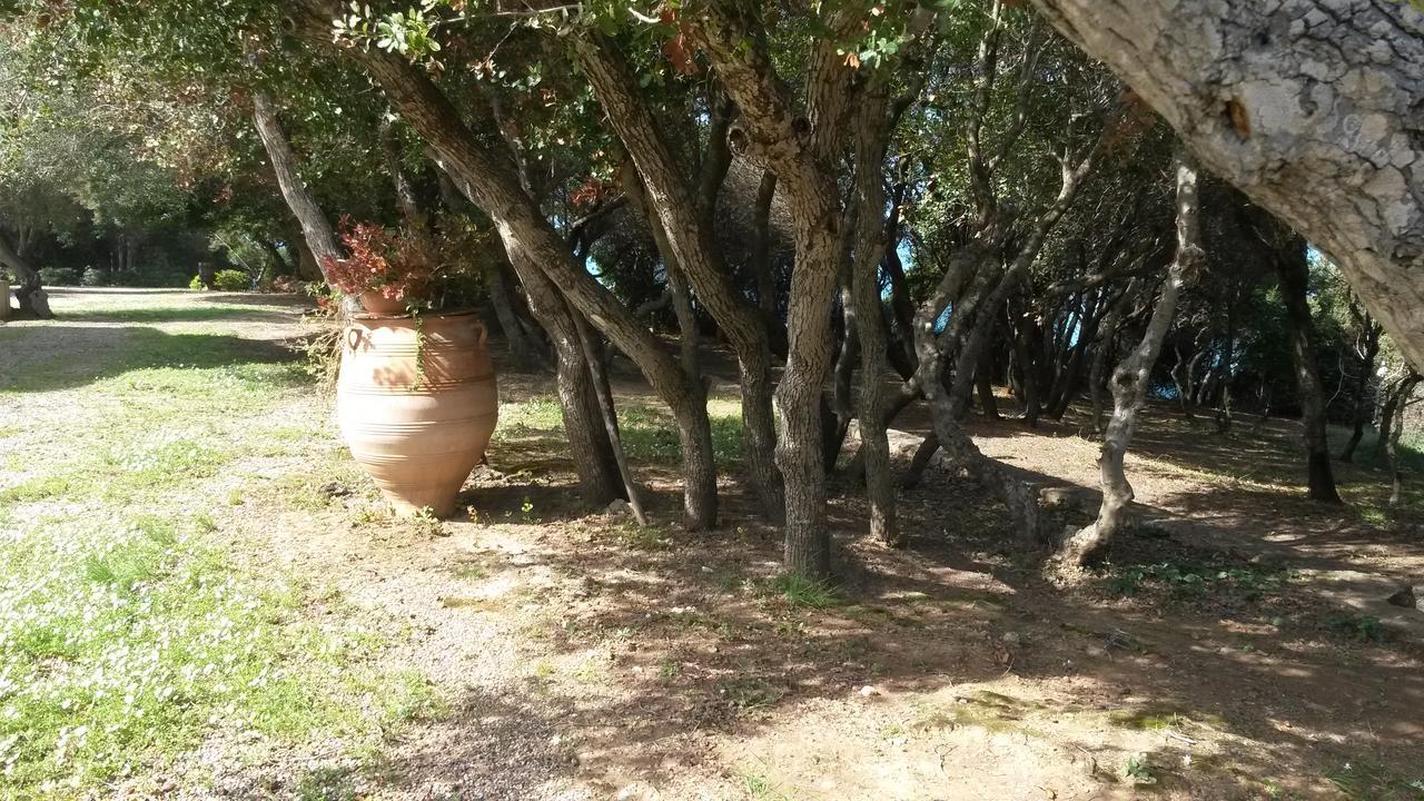 Villa Feia كاتاكولو المظهر الخارجي الصورة